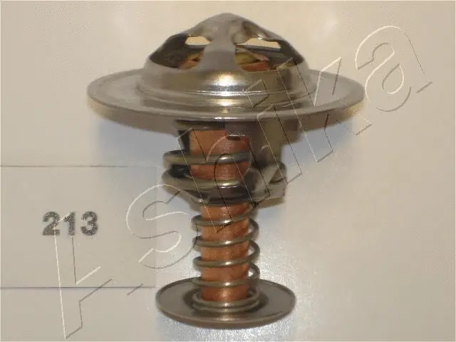 Thermostat, coolant (38-02-213)