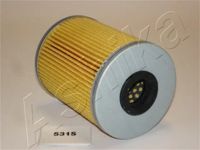 Fuel Filter (30-05-531)