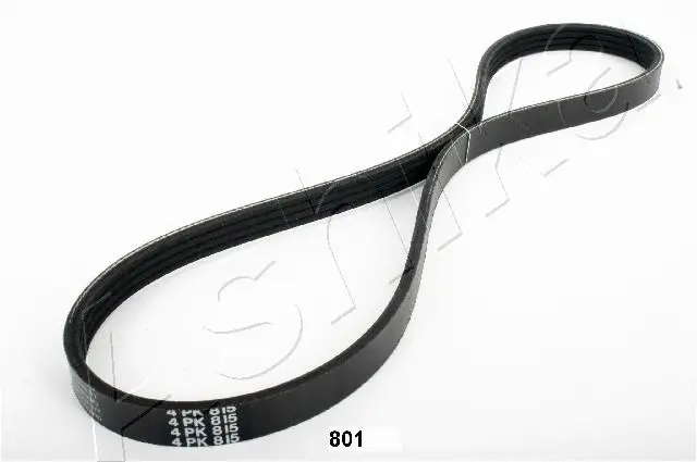 V-Ribbed Belt (96-08-801)