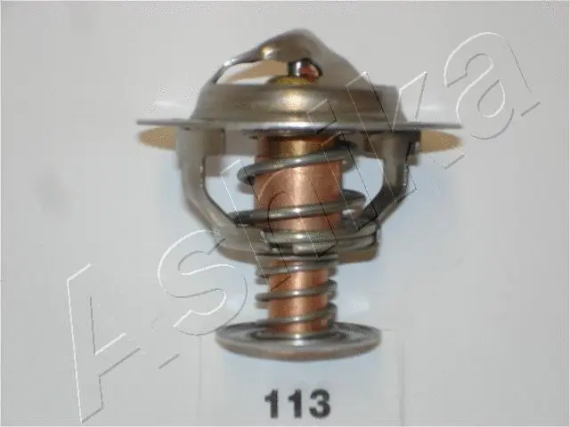 Thermostat, coolant (38-01-113)