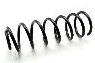Suspension Spring (ZCA5841C)