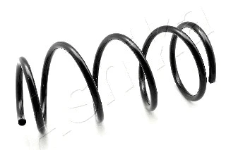 Suspension Spring (ZCA2976A)