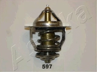 Thermostat, coolant (38-05-597)