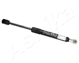 Gas Spring, boot/cargo area (ZSA09016)