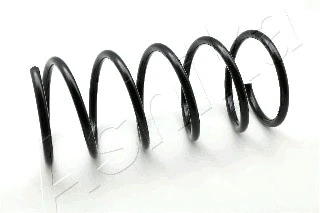 Suspension Spring (ZCA1401A)