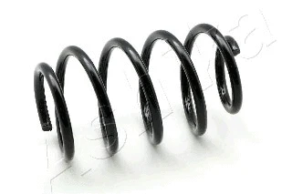 Suspension Spring (ZCA2971H)
