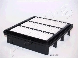 Air Filter (20-0K-K21)