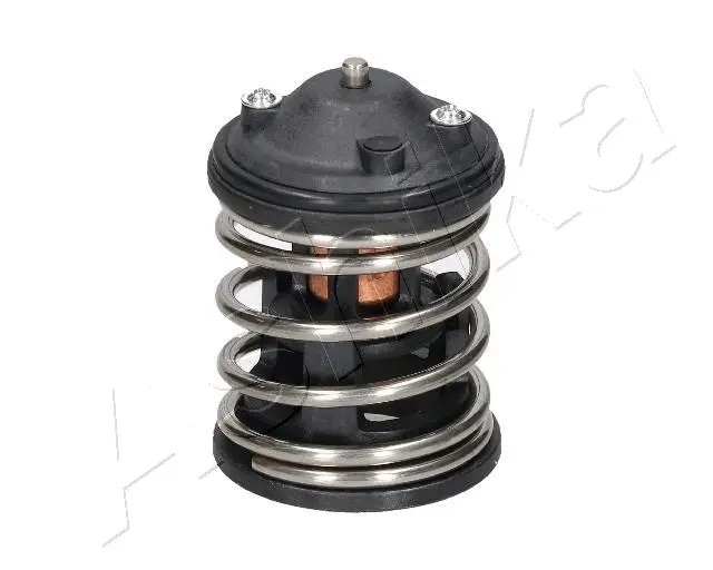 Thermostat, coolant (38-00-0110)