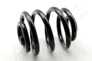 Suspension Spring (ZCA6631X)