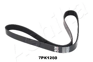 V-Ribbed Belt (112-7PK1260)