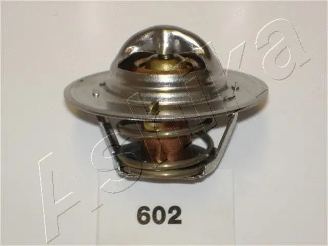 Thermostat, coolant (38-06-602)