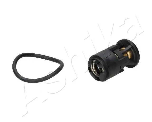Thermostat, coolant