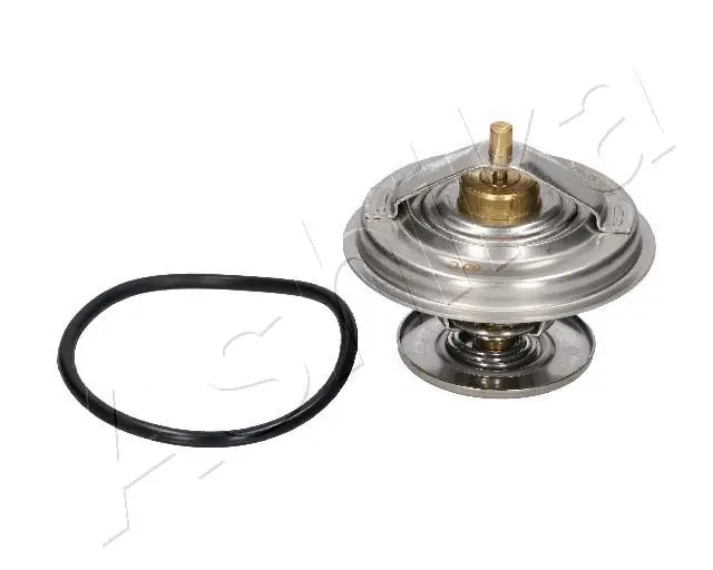 Thermostat, coolant (38-00-0100)
