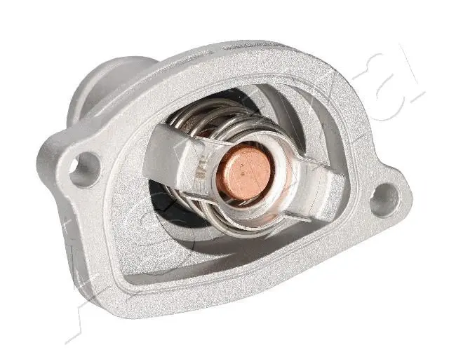 Thermostat, coolant (38-00-0206)
