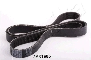 V-Ribbed Belt (112-7PK1605)