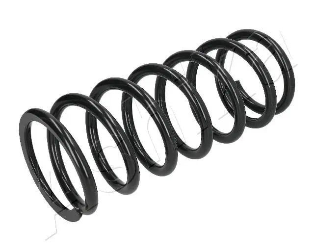 Suspension Spring (ZCA1031A)