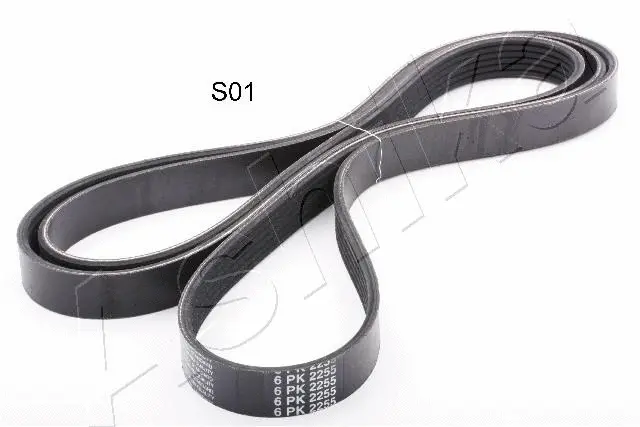 V-Ribbed Belt (96-0S-S01)