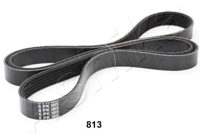 V-Ribbed Belt (96-08-813)