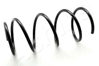 Suspension Spring (ZCA2967C)