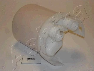 Fuel Filter (30-02-255)