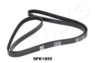 V-Ribbed Belt (112-5PK1855)