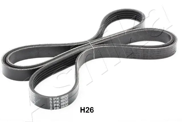V-Ribbed Belt (96-0H-H26)