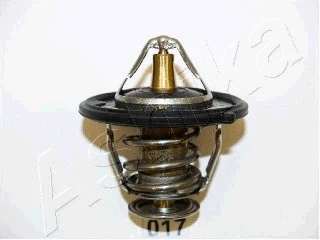 Thermostat, coolant (22-017)