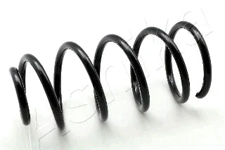 Suspension Spring (ZCA5804C)