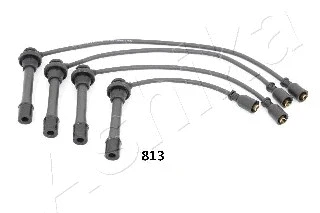 Ignition Cable Kit (132-08-813)