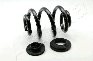Suspension Spring (ZCA5558X)