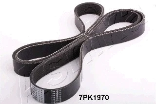 V-Ribbed Belt (112-7PK1970)