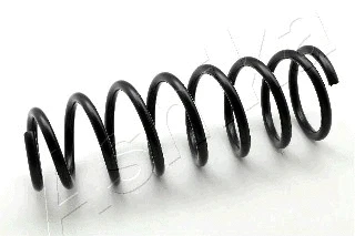Suspension Spring (ZCA6546G)