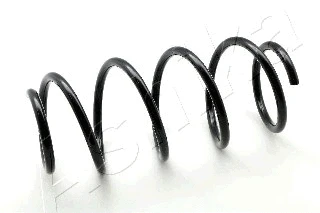 Suspension Spring (ZCA2539H)