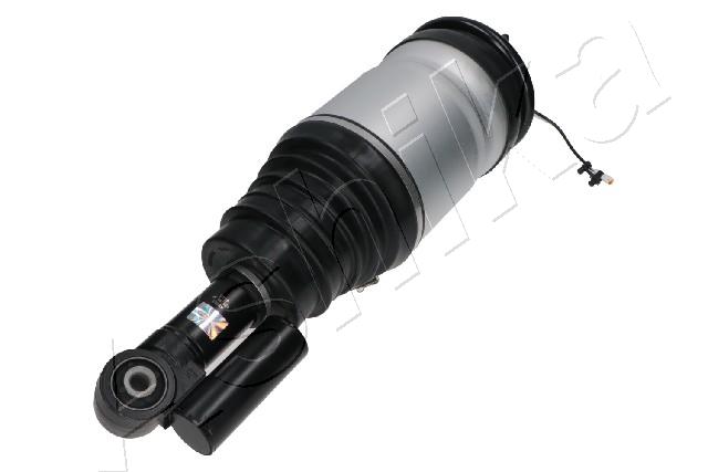 Air Suspension Strut (MA-AS163)