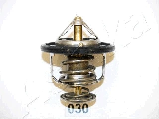 Thermostat, coolant (22-030)