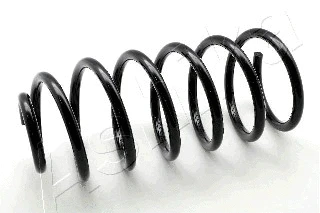 Suspension Spring (ZCA1267G)