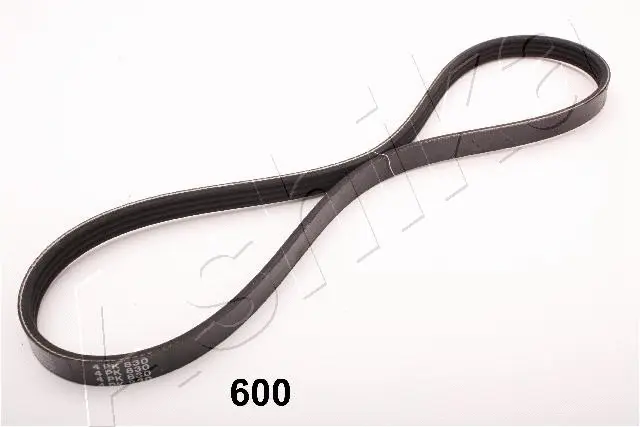 V-Ribbed Belt (96-06-600)