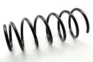 Suspension Spring (ZCA1130G)