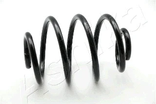 Suspension Spring (ZCA5030X)