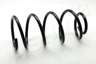 Suspension Spring (ZCA3011C)
