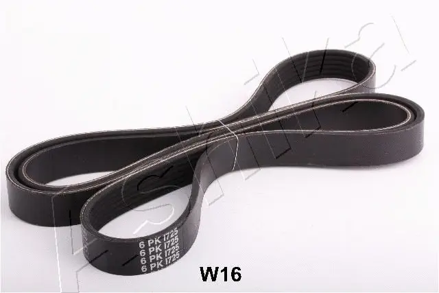 V-Ribbed Belt (96-0W-W16)