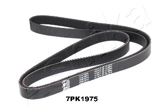 V-Ribbed Belt (112-7PK1975)