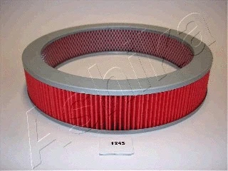 Air Filter (20-01-124)