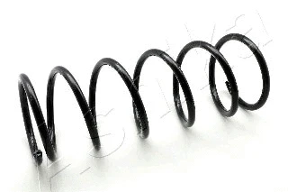 Suspension Spring (ZCA1983A)