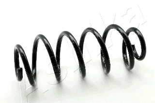 Suspension Spring (ZCA1019H)