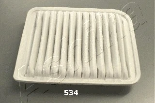 Air Filter (20-05-534)