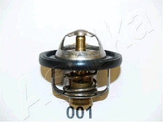 Thermostat, coolant (22-001)