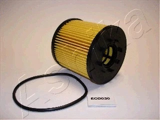 Oil Filter (10-ECO030)