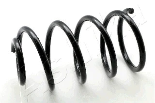 Suspension Spring (ZCA4093A)