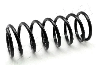 Suspension Spring (ZCA5597A)